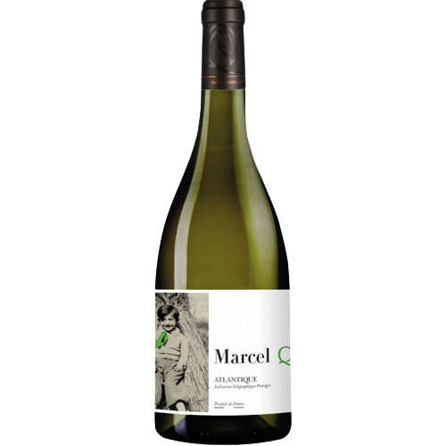 Vin_Blanc_Marcel_Q